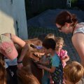 2 Es wird fleissig geputzt - Der Mama wirds gezeigt