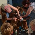 3 geflochten - da hat Mama eine Idee
