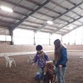 09 Auch neben dem Pony macht es Spass
